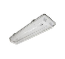 Светильник промышленный Айсберг 2х18-022 IP 65  PMZ000000015432  ЛЮМСВЕТ