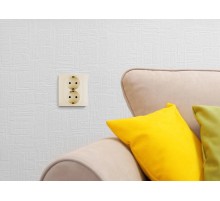 Розетка двойная с заземлением - Legrand Inspiria - со шторками в сборе 16А 250В безвинтовые зажимы - слоновая кость  673756  Legrand