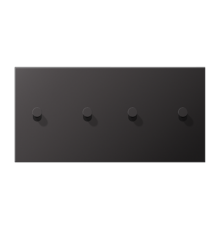 Центральная плата, 2 поста, для горизонтальной установки, тумблеры 2+2,конус; металлическое исполнение; Dark; серия LS  AL12-250DK01  Jung