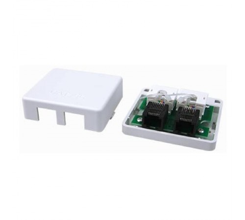 Универсальная розетка CAT5E Keystone, 2 порта  RNW5E2WH  DKC