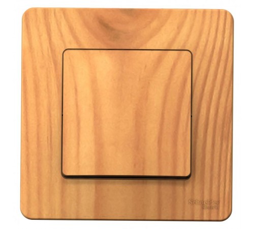 Blanca Ясень С/У Выключатель 1-клавишный, 10А, 250B  BLNVS010105  SE