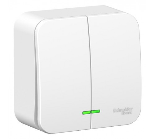 Blanca Белый О/У с монтажной пластиной Выключатель 2-клавишный 6А, 250B  BLNVA065021  SE