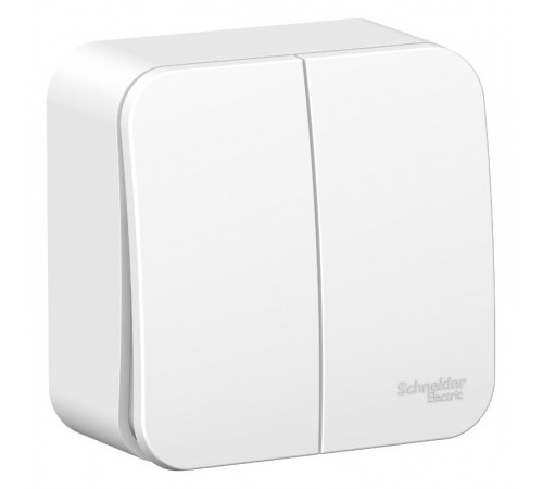 Blanca Белый О/У Выключатель 2-клавишный, 10А, 250B  BLNVA105001  SE