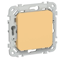 FLITE Заглушка с суппортом ЗГ-ФлЗ золотарник  FI-PL10-K90  IEK