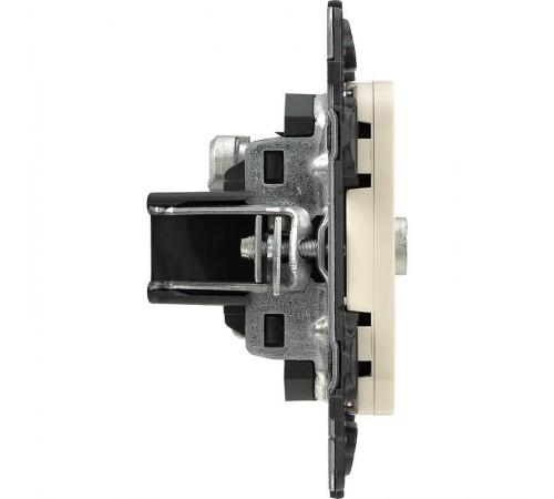 Valena ALLURE DIY Сл.кость Розетка TV "звезда" 0-2400 Мгц  753851  Legrand