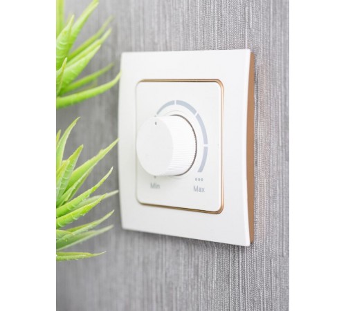 Стокгольм Рамка 1-местная белая с линией цвета шампань PROxima  EYM-G-302-10  EKF