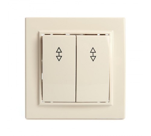 Выключатель (переключатель) электрический 2-клавишный, серия Эрна, PSW10-9008-02, слоновая кость  39920  STEKKER