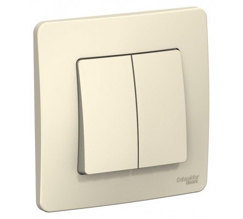 Blanca Молочный С/У Выключатель 2-клавишный, 10А, 250B  BLNVS010502  SE