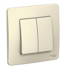 Blanca Молочный С/У Выключатель 2-клавишный, 10А, 250B  BLNVS010502  SE