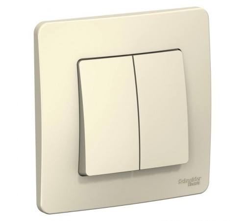 Blanca Молочный С/У Выключатель 2-клавишный, 10А, 250B  BLNVS010502  SE