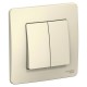 Blanca Молочный С/У Выключатель 2-клавишный, 10А, 250B  BLNVS010502  SE