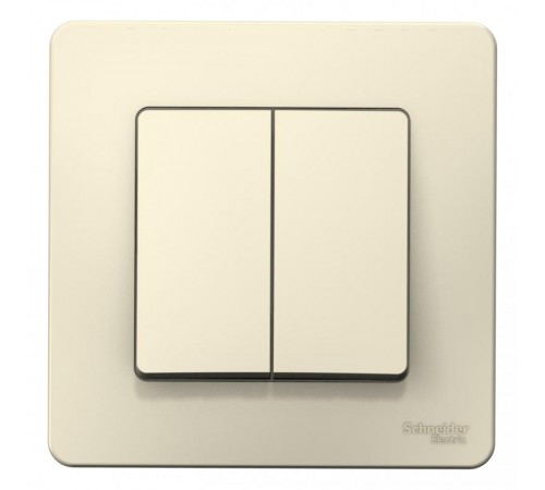 Blanca Молочный С/У Выключатель 2-клавишный, 10А, 250B  BLNVS010502  SE