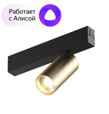 Светильник трековый акцентный DK8010-BG SMART SPOT 9W DIM 3000K-6000K, матовое золото с черным  DK8010-BG  DENKIRS