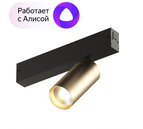 Светильник трековый акцентный DK8010-BG SMART SPOT 9W DIM 3000K-6000K, матовое золото с черным  DK8010-BG  DENKIRS