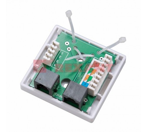 Комбинированная розетка RJ-45(8P-8C) + RJ-11(6P-4C), внешняя  03-0120  REXANT