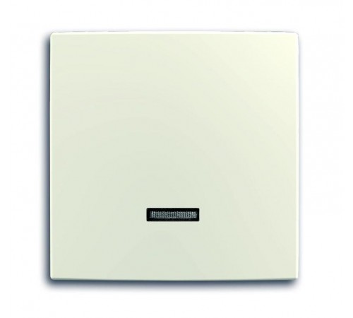 ABB Basic 55 Шале (белый) Клав для с-ра 6550 U-10x,6560 U-101,6593 U,реле 6401 U-10x,6402 U  6599-0-2995   2CKA006599A2995  ABB