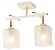 Светильник потолочный Helga 3100-302 2 * Е27 40 Вт модерн  Б0050836  Rivoli