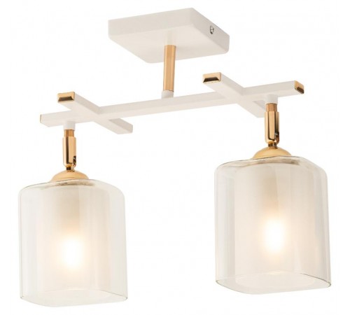 Светильник потолочный Helga 3100-302 2 * Е27 40 Вт модерн  Б0050836  Rivoli