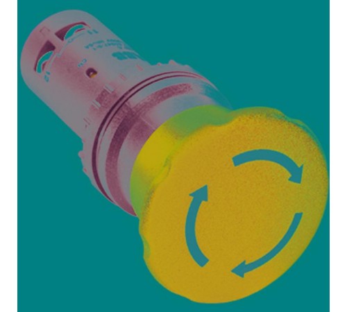Кнопка CE4T-10R-20 с фикс 2НО  1SFA619550R1021  ABB