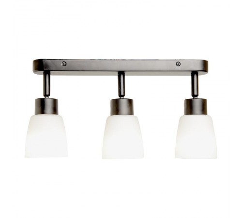 Светильник-спот настенно-потолочный под лампу 3хE27, черный ML243  41516  FERON