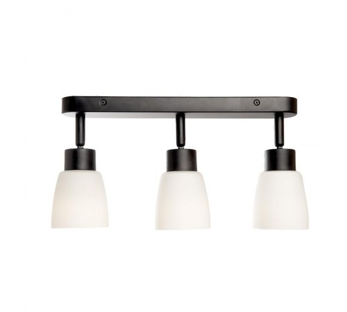 Светильник-спот настенно-потолочный под лампу 3хE27, черный ML243  41516  FERON