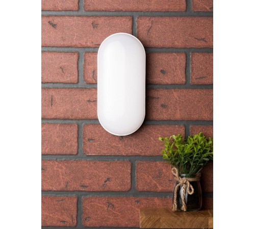 Светильник светодиодный ЖКХ овал ДПО-2005 12Вт 4000K IP65  EKF PROxima  BKL-2005-V-12-4000  EKF