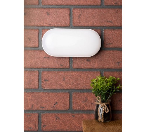 Светильник светодиодный ЖКХ овал ДПО-2005 12Вт 4000K IP65  EKF PROxima  BKL-2005-V-12-4000  EKF