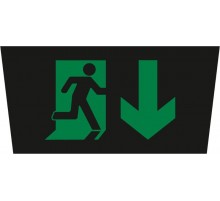 Пиктограмма ДСО-IP65 "Выход - вниз черный фон"  60483DEK  DEKraft