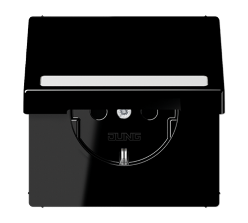 SCHUKO розетка с полем для надписи и крышкой LS1520BFNAKLSW Jung