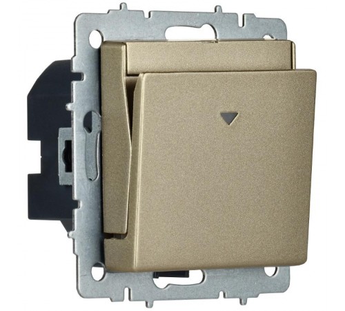 BRITE Выключ. карточный 30А ВС10-1-8-БрШ шамп.  BR-V11-0-10-K37  IEK