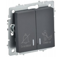 BRITE Выключ. 2-кл. с инд. отел. 10А ВС10-2-9-БрГ граф.  BR-V20-2-10-K53  IEK