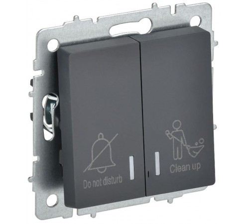 BRITE Выключ. 2-кл. с инд. отел. 10А ВС10-2-9-БрГ граф.  BR-V20-2-10-K53  IEK