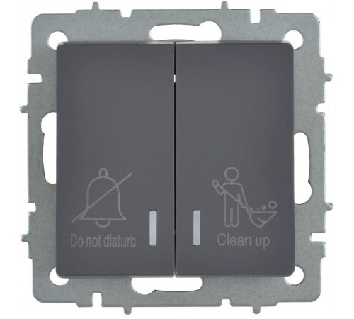 BRITE Выключ. 2-кл. с инд. отел. 10А ВС10-2-9-БрГ граф.  BR-V20-2-10-K53  IEK