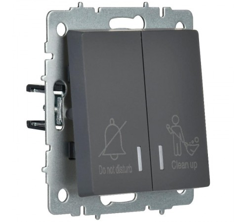 BRITE Выключ. 2-кл. с инд. отел. 10А ВС10-2-9-БрГ граф.  BR-V20-2-10-K53  IEK