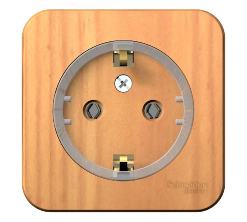 Blanca Ясень О/У Розетка с заземлением без шторок, (тонкая), 16А, 250В  BLNRA110115  SE