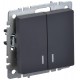 BRITE Выключатель 2-клавишный с индикацией 10А ВС10-2-1-БрГ графит   BR-V20-1-10-K53  IEK