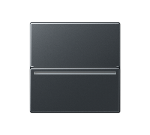 Накладка на ESU230-2 ACARDRFIDANM Jung