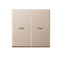 2-я клавиша с символами "стрелки" для баланс. мех. выкл. (кнопок), в компл с AS90-5HP , возможно IP44; дюропласт; шампань; A500 A595PCH  Jung