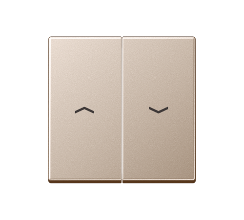 2-я клавиша с символами "стрелки" для баланс. мех. выкл. (кнопок), в компл с AS90-5HP , возможно IP44; дюропласт; шампань; A500 A595PCH  Jung