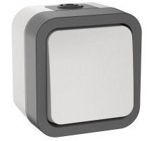 TORS Выключ. двухполюсный однокл. 10А IP55 TS211 белый  TS-V16-0-10-55-K41  IEK