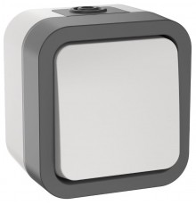 TORS Выключ. двухполюсный однокл. 10А IP55 TS211 белый  TS-V16-0-10-55-K41  IEK