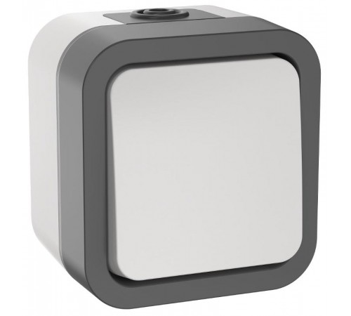 TORS Выключ. двухполюсный однокл. 10А IP55 TS211 белый  TS-V16-0-10-55-K41  IEK