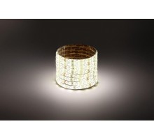 Лента светодиодная LS2835-4,8-60-24-65-4000К-5m  Б0043111  ЭРА