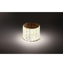 Лента светодиодная LS2835-4,8-60-24-65-4000К-5m  Б0043111  ЭРА