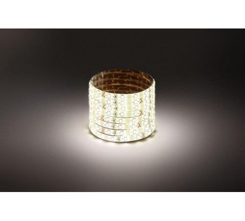 Лента светодиодная LS2835-4,8-60-24-65-4000К-5m  Б0043111  ЭРА