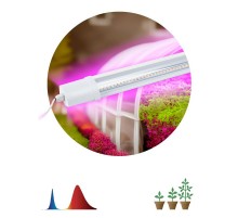 Светильник для растений, фитолампа светодиодная линейная  FITO-24W-RB-N красно-синего спектра 24 Вт  Б0061425  ЭРА