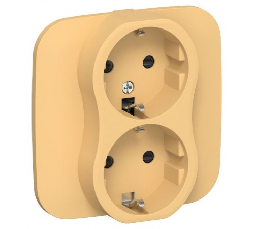 FLITE Розетка 2-ая с заземлением со шторками быстрозажимные клеммы 16А РСш12-1-А-ФлЗ золотарник  FI-R24A-16-1-K90  IEK