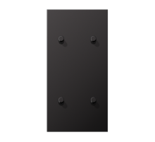 Центральная плата для выключателей, 2 поста (единая плата), для вертикальной установки, тумблеры 2+2, цилиндр; металл; dark; LS1912  AL12-25DR01  Ju