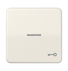 Клавиша с окошком и символом "ключ" для выключателей с подсветкой; слоновая кость  CD590KO5T  Jung