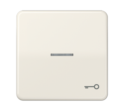 Клавиша с окошком и символом "ключ" для выключателей с подсветкой; слоновая кость  CD590KO5T  Jung